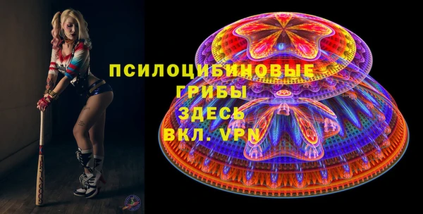 spice Карпинск