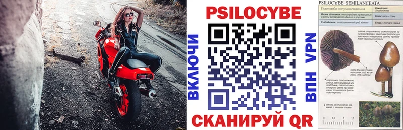 Купить закладки  Старица  Псилоцибиновые грибы Psilocybine cubensis 