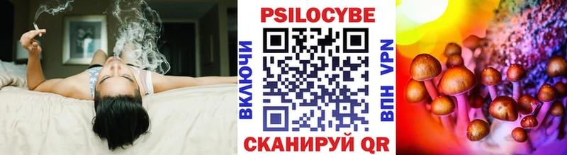 Псилоцибиновые грибы мицелий Старица