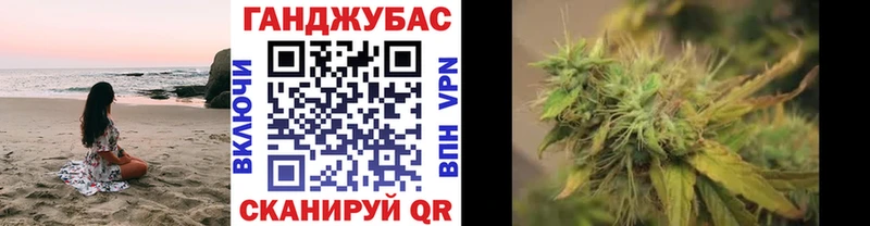 Купить где  Старица  Шишки марихуана планчик 